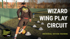 Wizard Wing Play Circuit